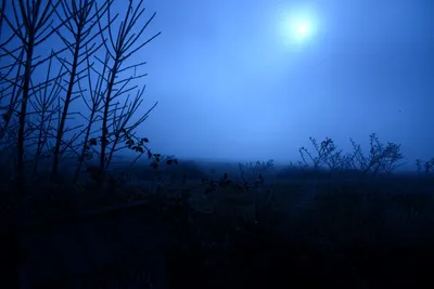 DSC_1047 (Large).JPG